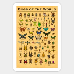 Bugs of the World Sticker